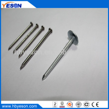 1.5 inch polish common iron nails factory